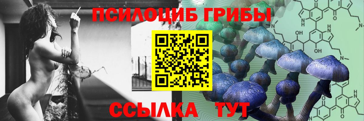 Галлюциногенные грибы Cubensis  Вход с VPN  Маркс 
